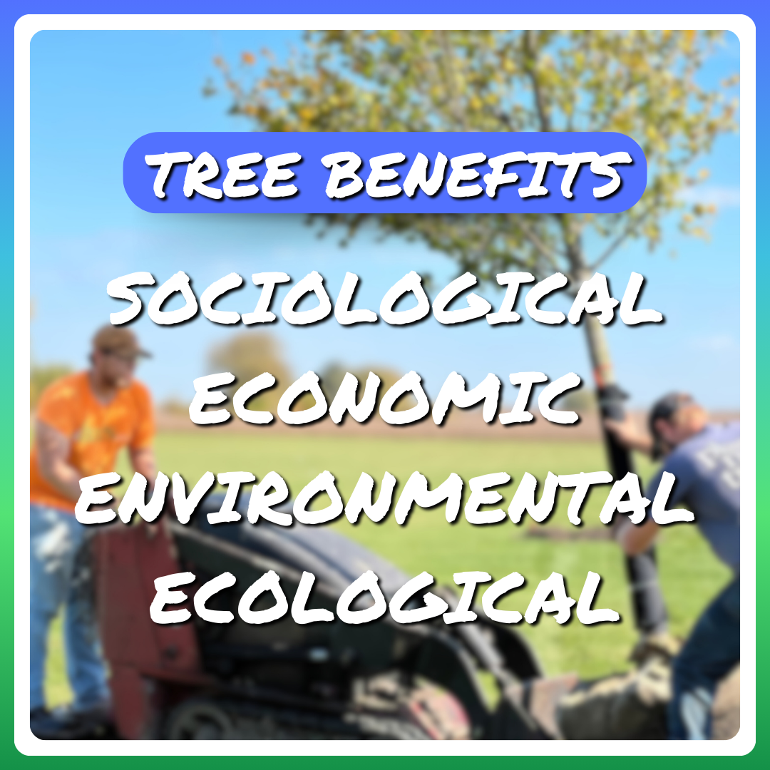 Blurry image of the iTrees.com crew tree planting with an overlay of words explaining the benefits of trees